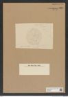 Diatomeae indet. Zeichnungen Sammlung Grunow Nr. 8201 (NHMW-BOT-W0377583)